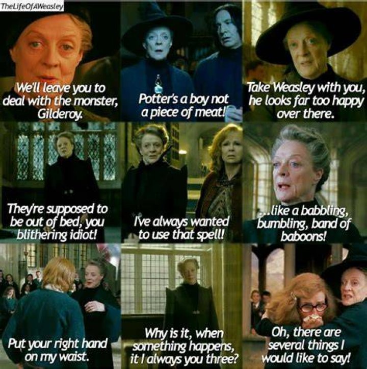 Harry Potter Funny Quotes Harry Potter Funny Quotes