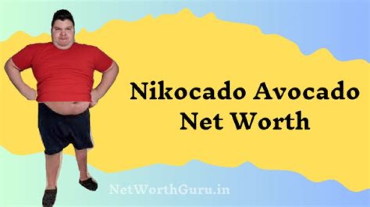 Nikocado Avocado net WorthFrom Youtube Channels Nikocado Avocado net Worth(From Youtube Channels)